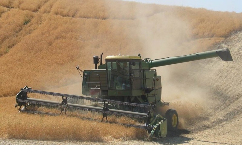 Field Harvest Website